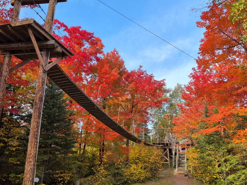 Ropes course structure surrounded by fall foliage