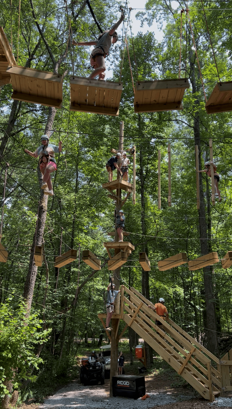 High ropes course elements built among trees by ARCL